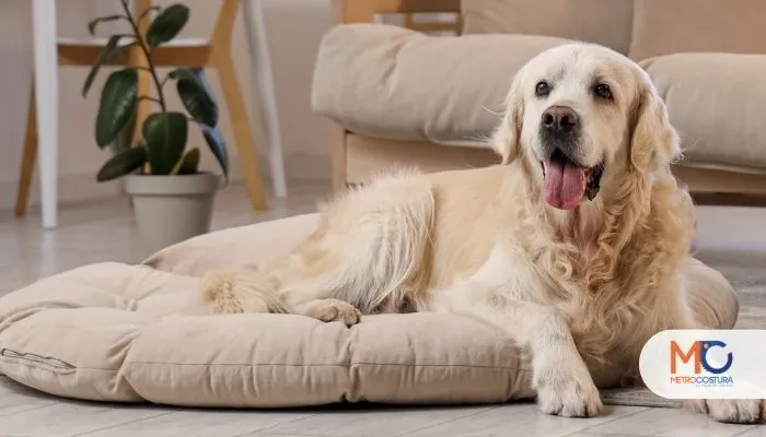 lavado de camas para perros y gatos
